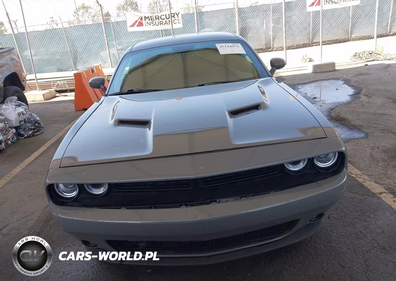 2018 Dodge Challenger Sxt VIN:2C3CDZAGXJH334345 - 12