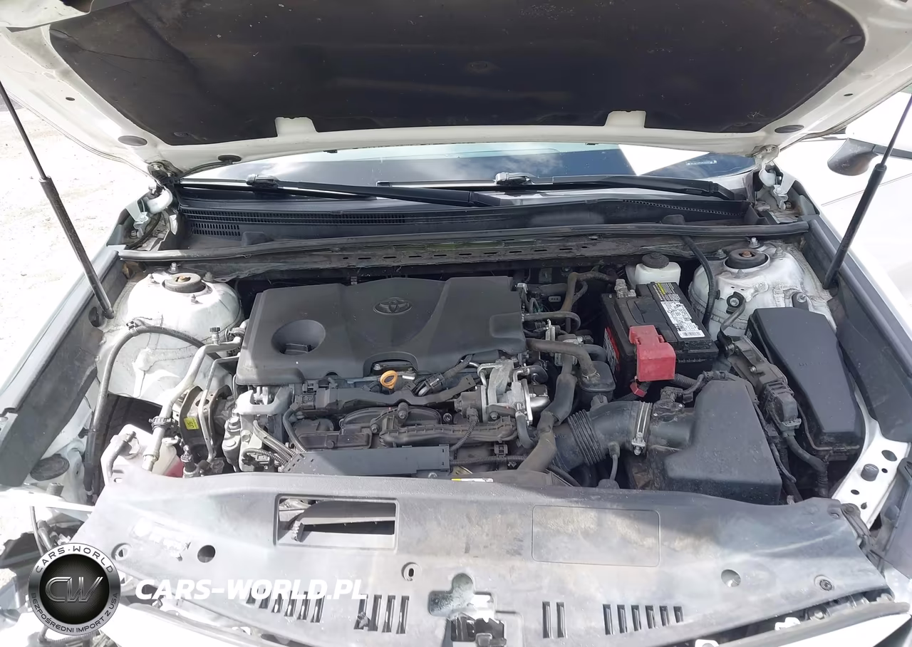 2019 Toyota Camry Le VIN:4T1B11HK3KU233766 - 10
