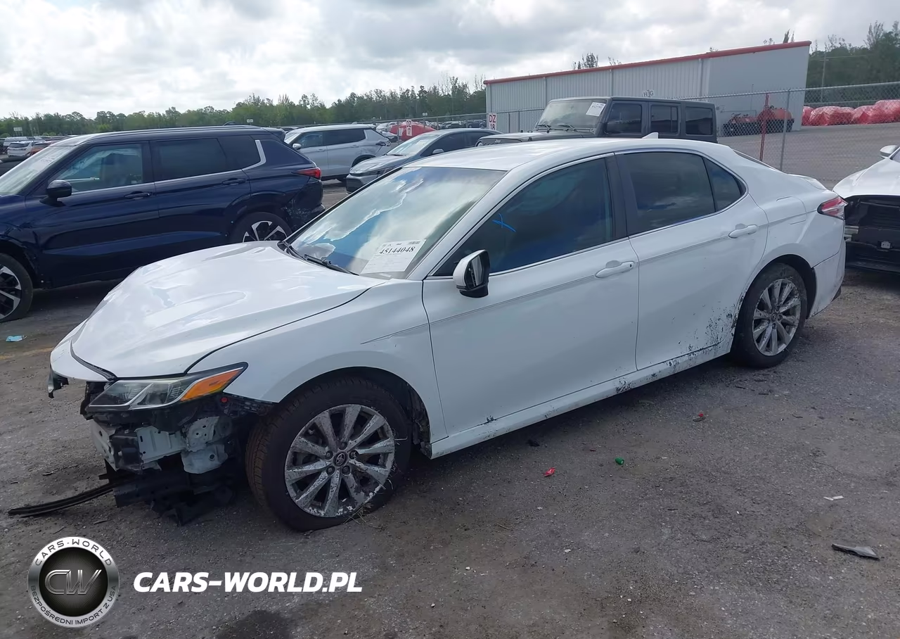 2019 Toyota Camry Le VIN:4T1B11HK3KU233766 - 2