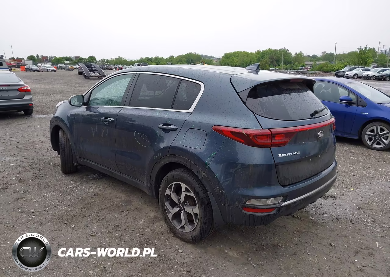 2020 Kia Sportage Lx VIN:KNDPM3AC6L7706785 - 3