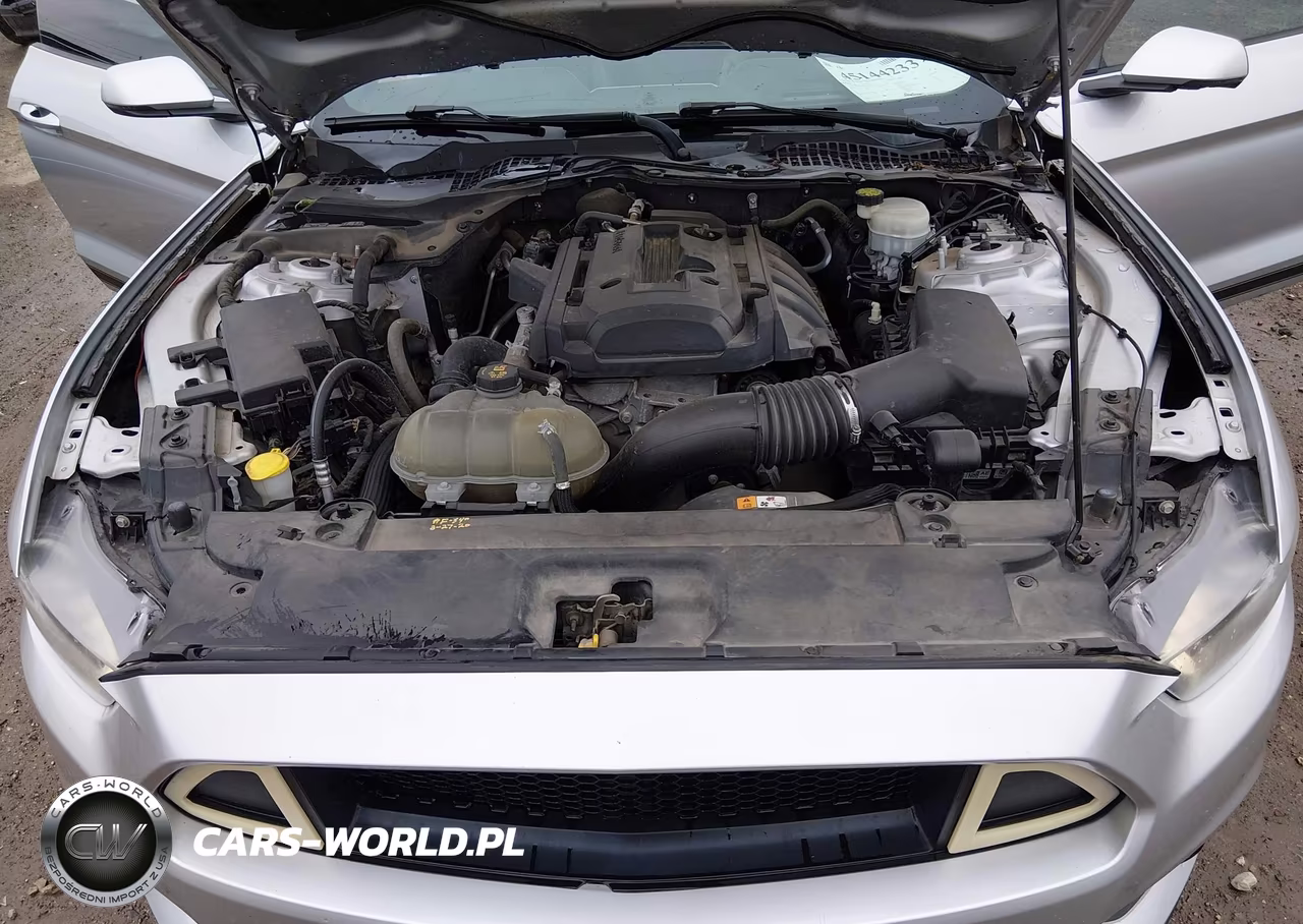 2015 Ford Mustang Ecoboost VIN:1FA6P8TH6F5424161 - 10