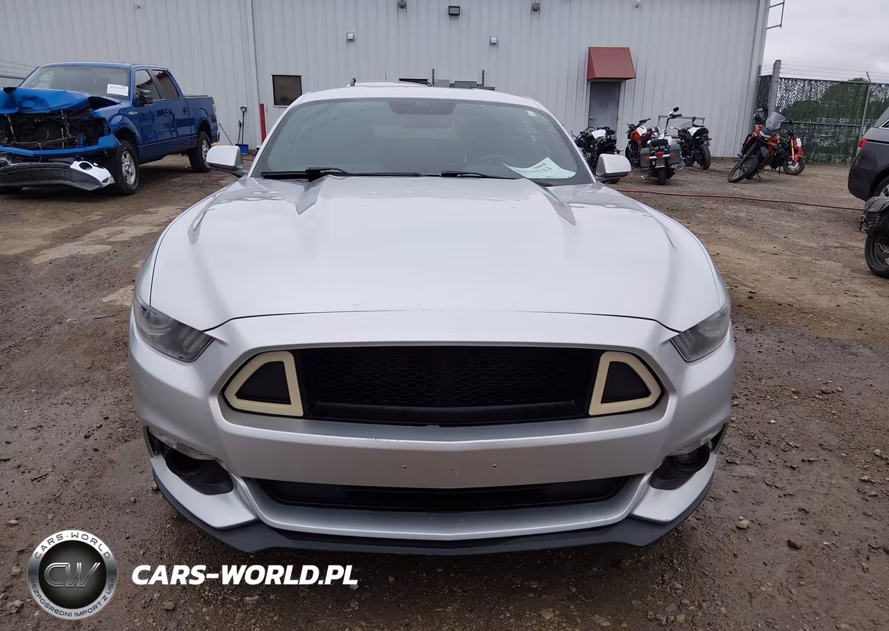 2015 Ford Mustang Ecoboost VIN:1FA6P8TH6F5424161 - 12