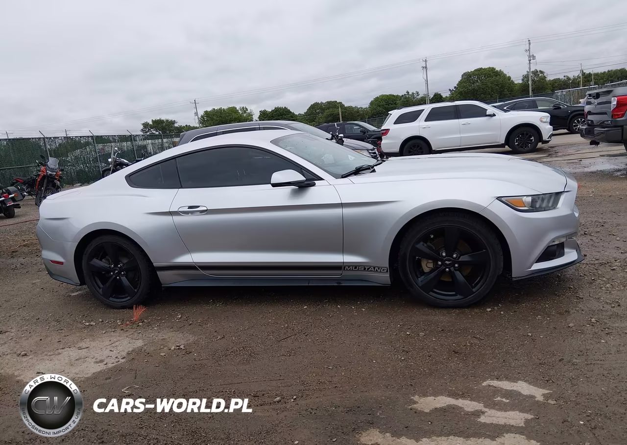 2015 Ford Mustang Ecoboost VIN:1FA6P8TH6F5424161 - 13