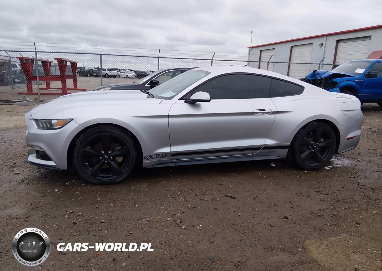2015 Ford Mustang Ecoboost VIN:1FA6P8TH6F5424161 - 14