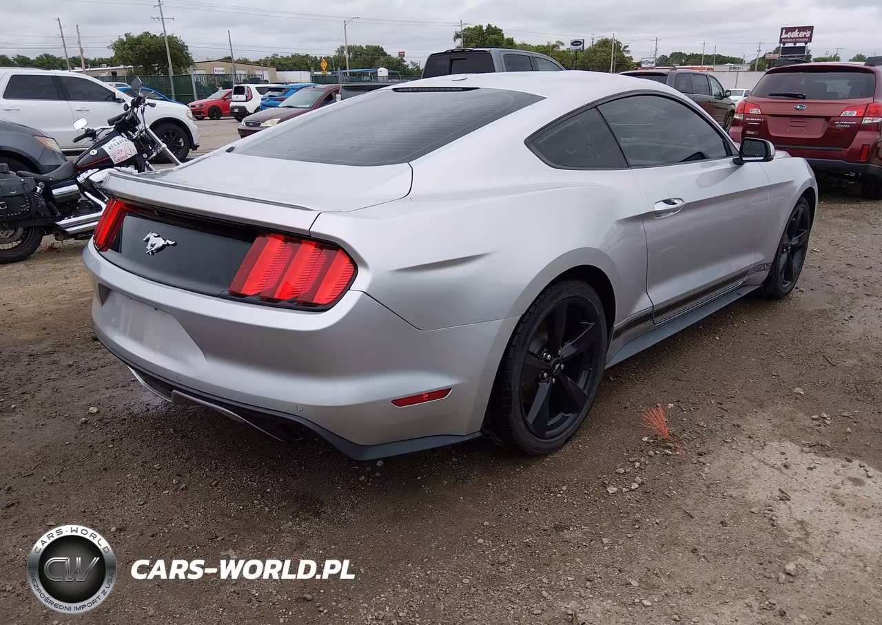 2015 Ford Mustang Ecoboost VIN:1FA6P8TH6F5424161 - 4