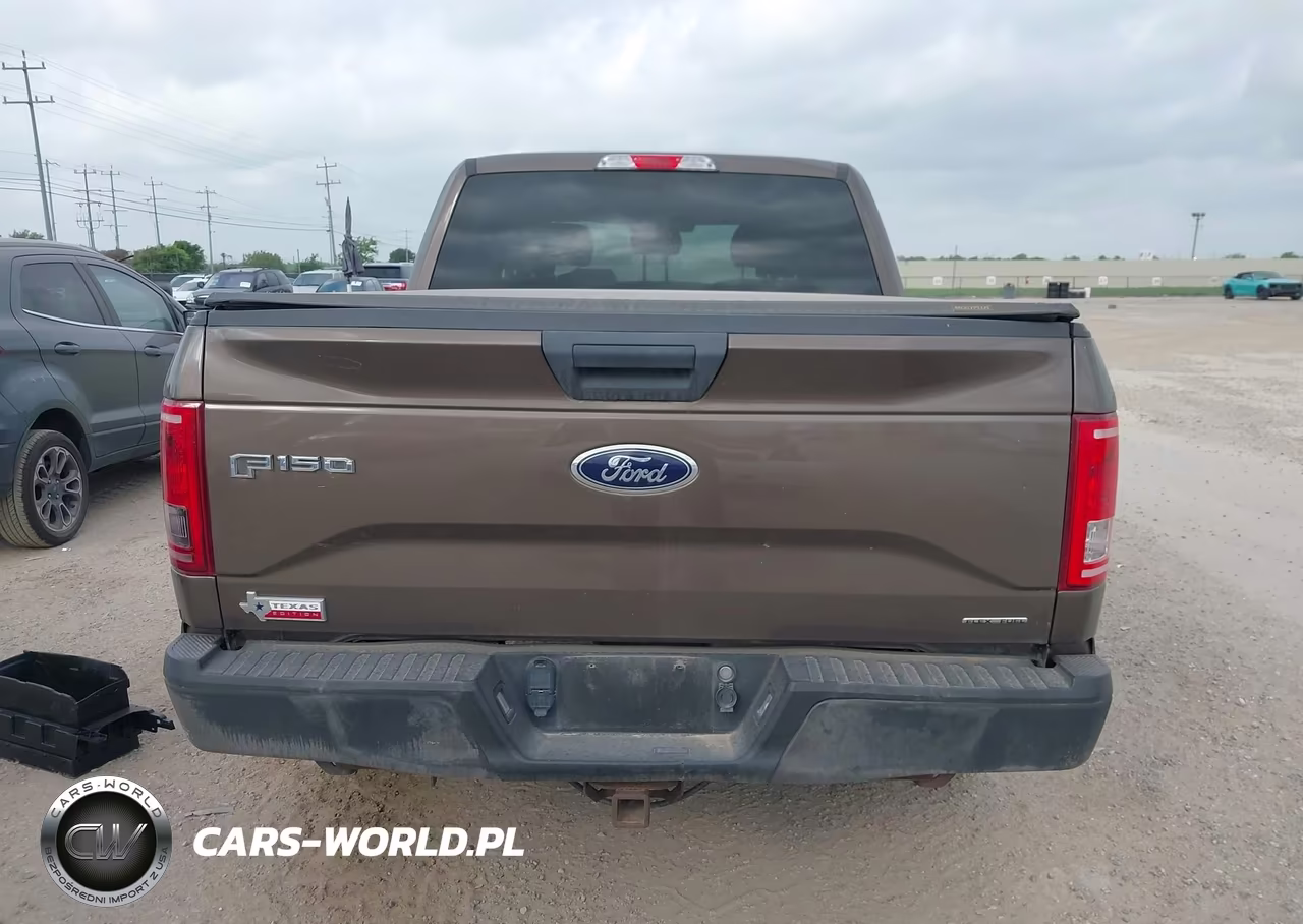 2016 Ford F-150 Xlt VIN:1FTEW1C80GKF45366 - 17