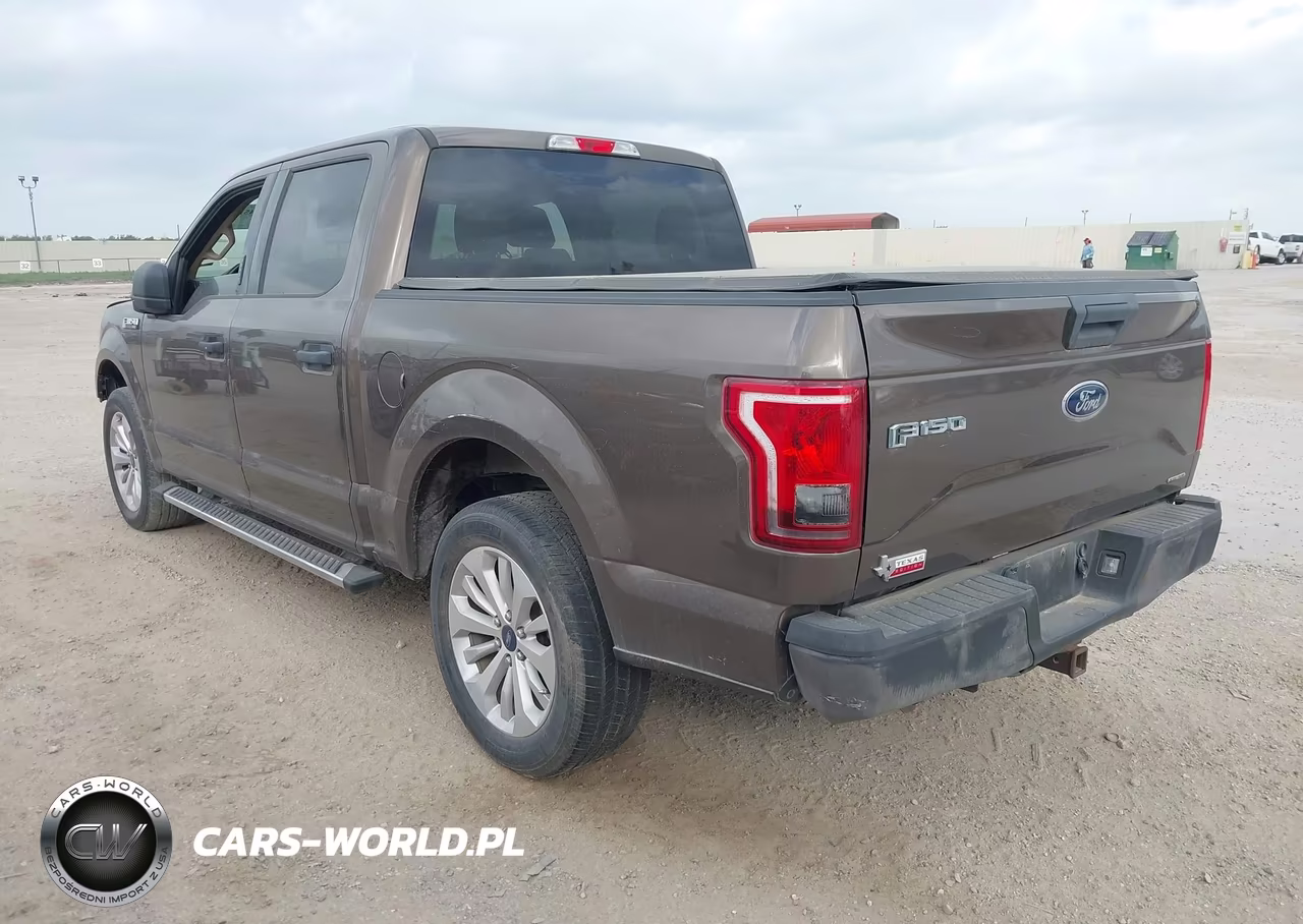 2016 Ford F-150 Xlt VIN:1FTEW1C80GKF45366 - 3