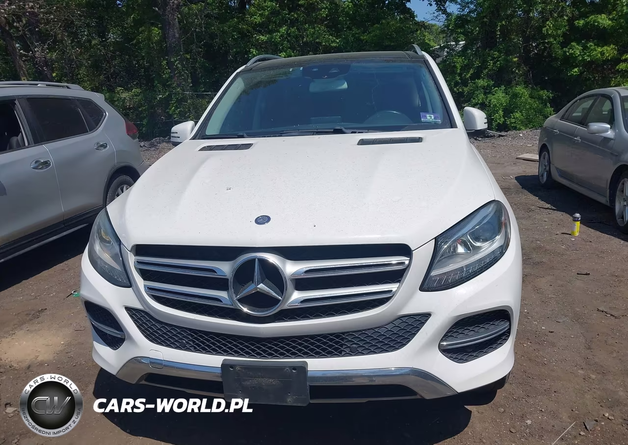 2016 Mercedes-Benz Gle 350 4Matic VIN:4JGDA5HB4GA700010 - 12