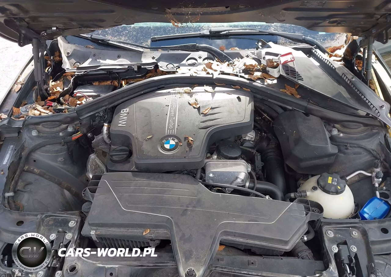 2015 BMW 320I VIN:WBA3B1G58FNT02465 - 10