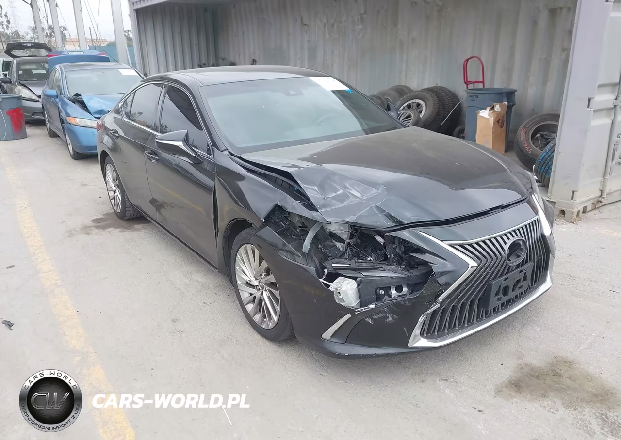2019 Lexus Es 300H Luxury