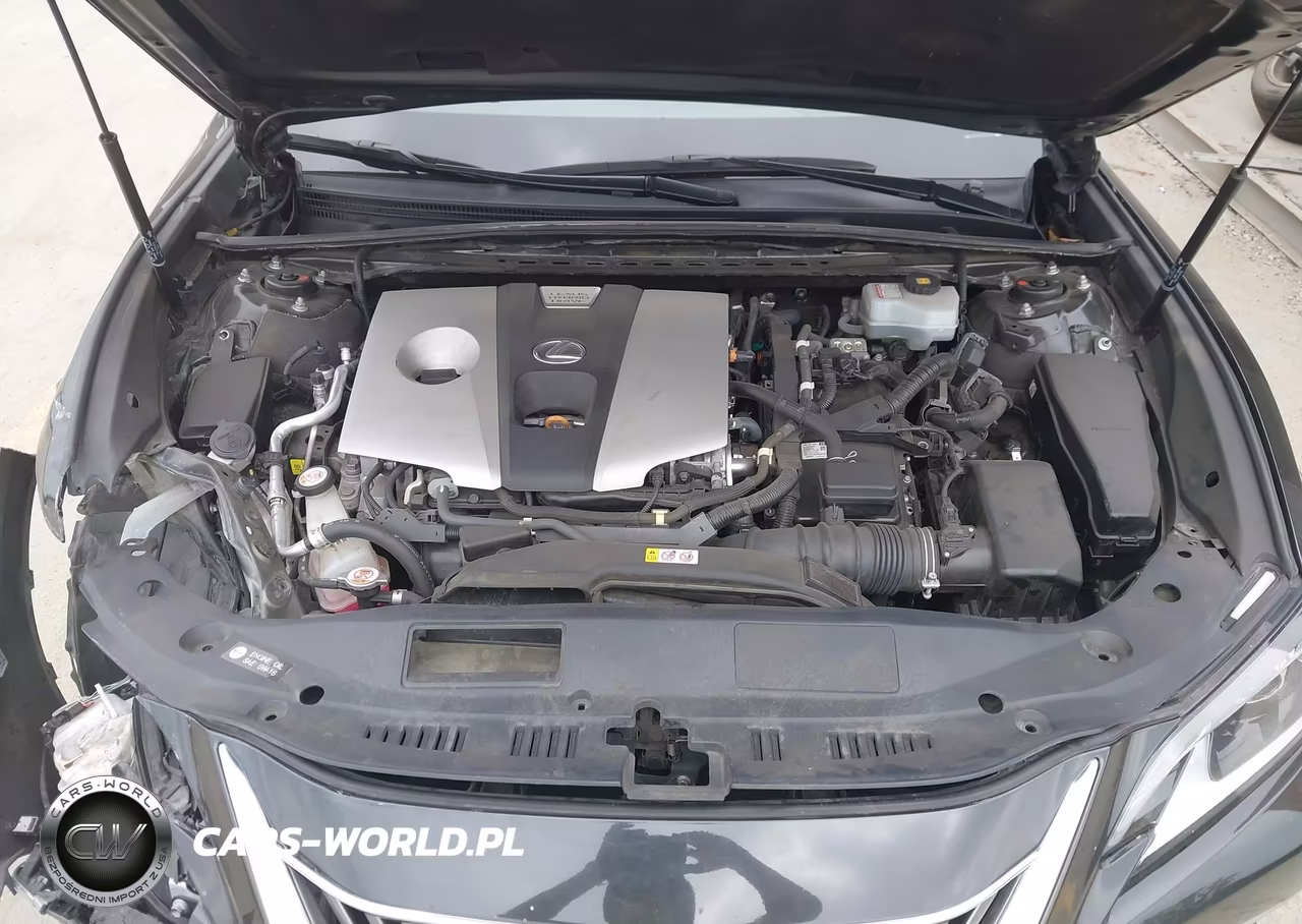 2019 Lexus Es 300H Luxury VIN:58AB21B13KU002940 - 10