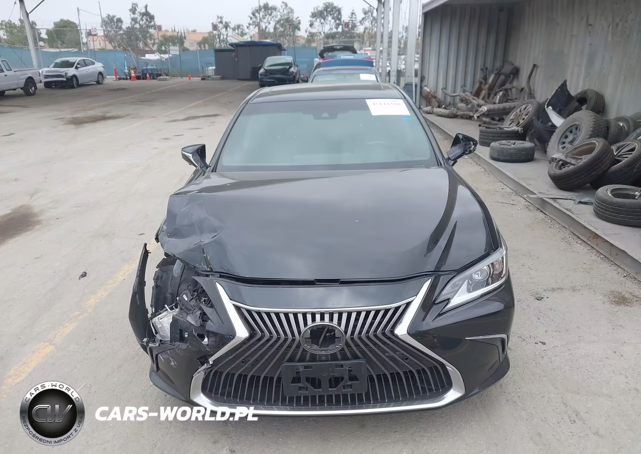 2019 Lexus Es 300H Luxury VIN:58AB21B13KU002940 - 13
