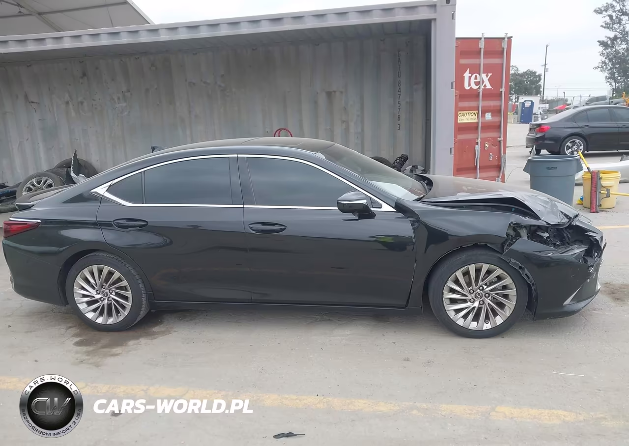 2019 Lexus Es 300H Luxury VIN:58AB21B13KU002940 - 14