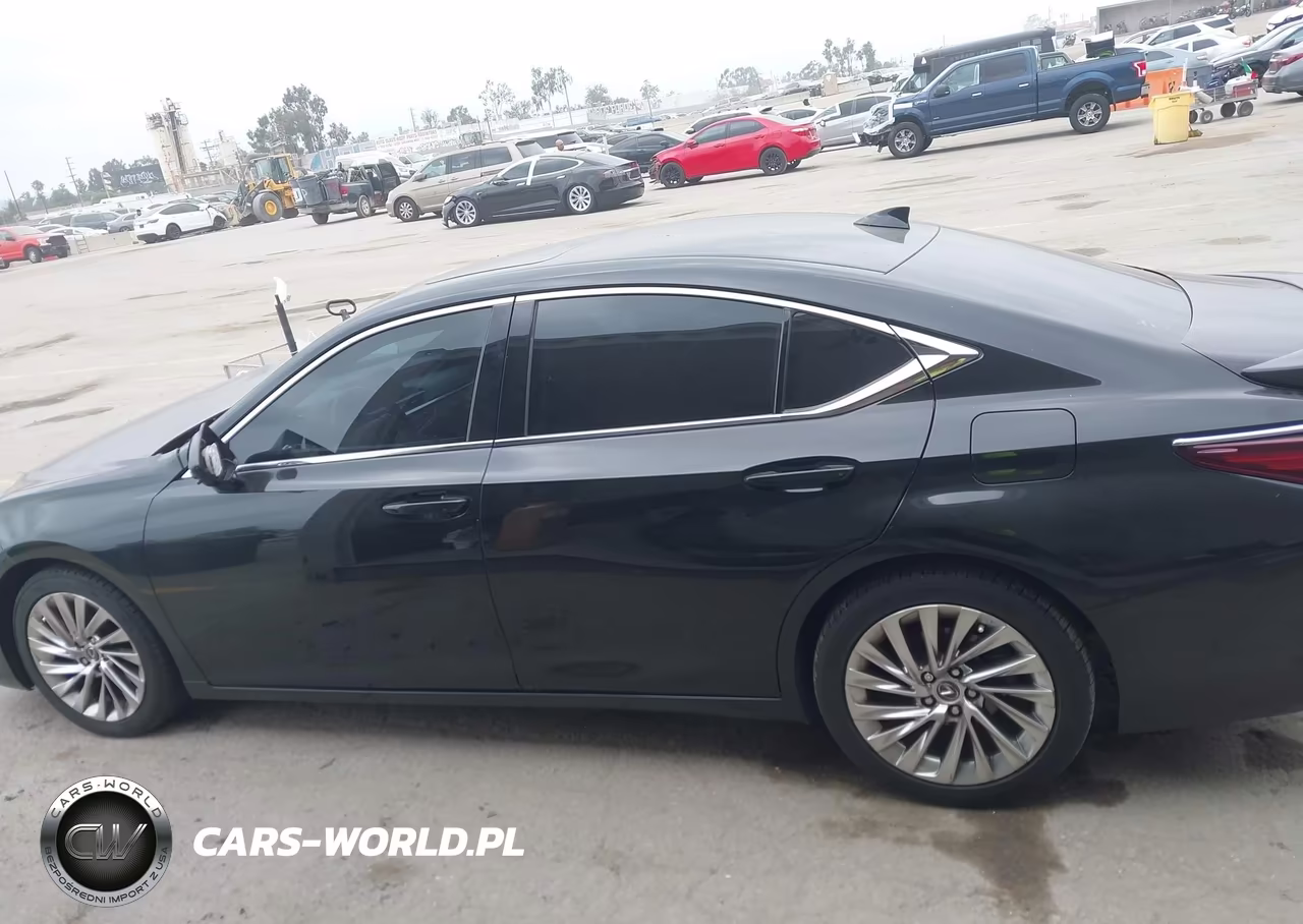 2019 Lexus Es 300H Luxury VIN:58AB21B13KU002940 - 15