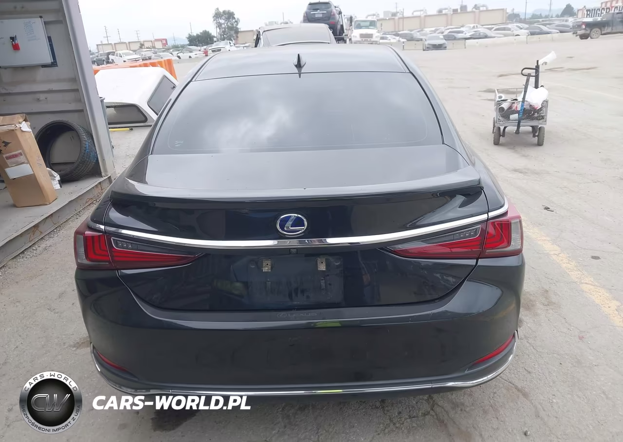 2019 Lexus Es 300H Luxury VIN:58AB21B13KU002940 - 17