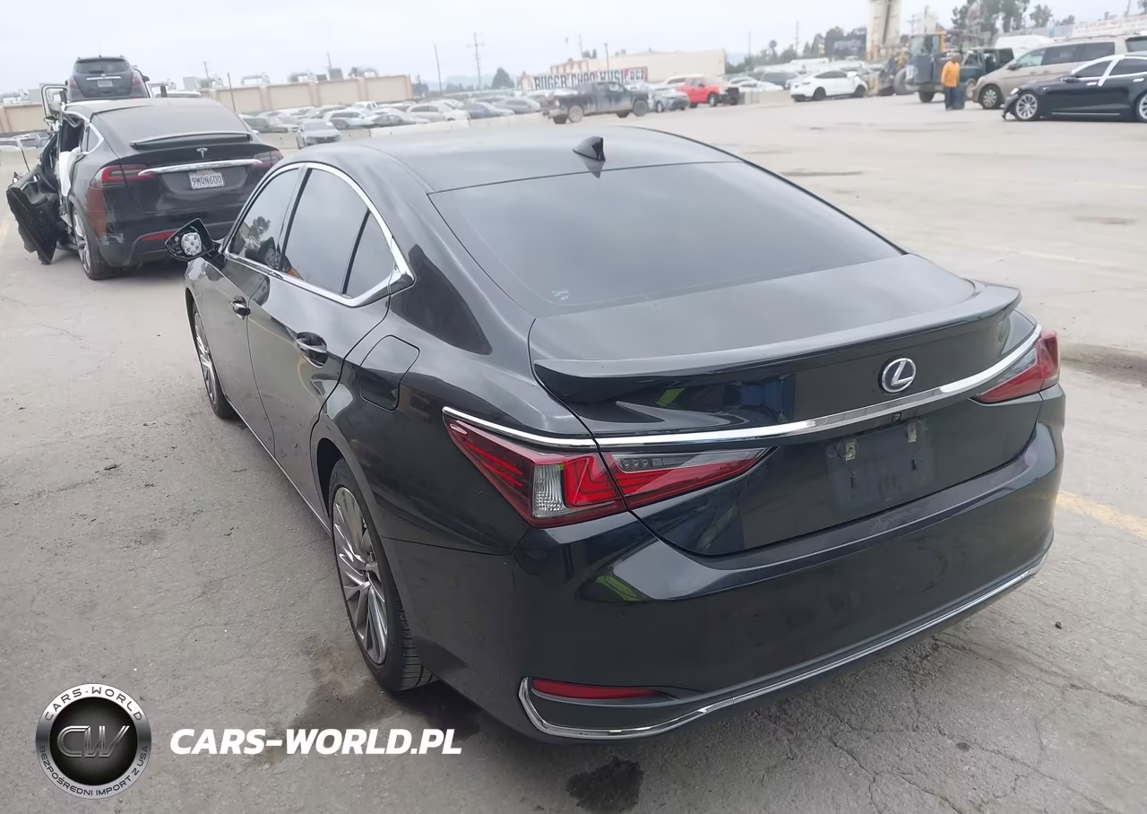 2019 Lexus Es 300H Luxury VIN:58AB21B13KU002940 - 3