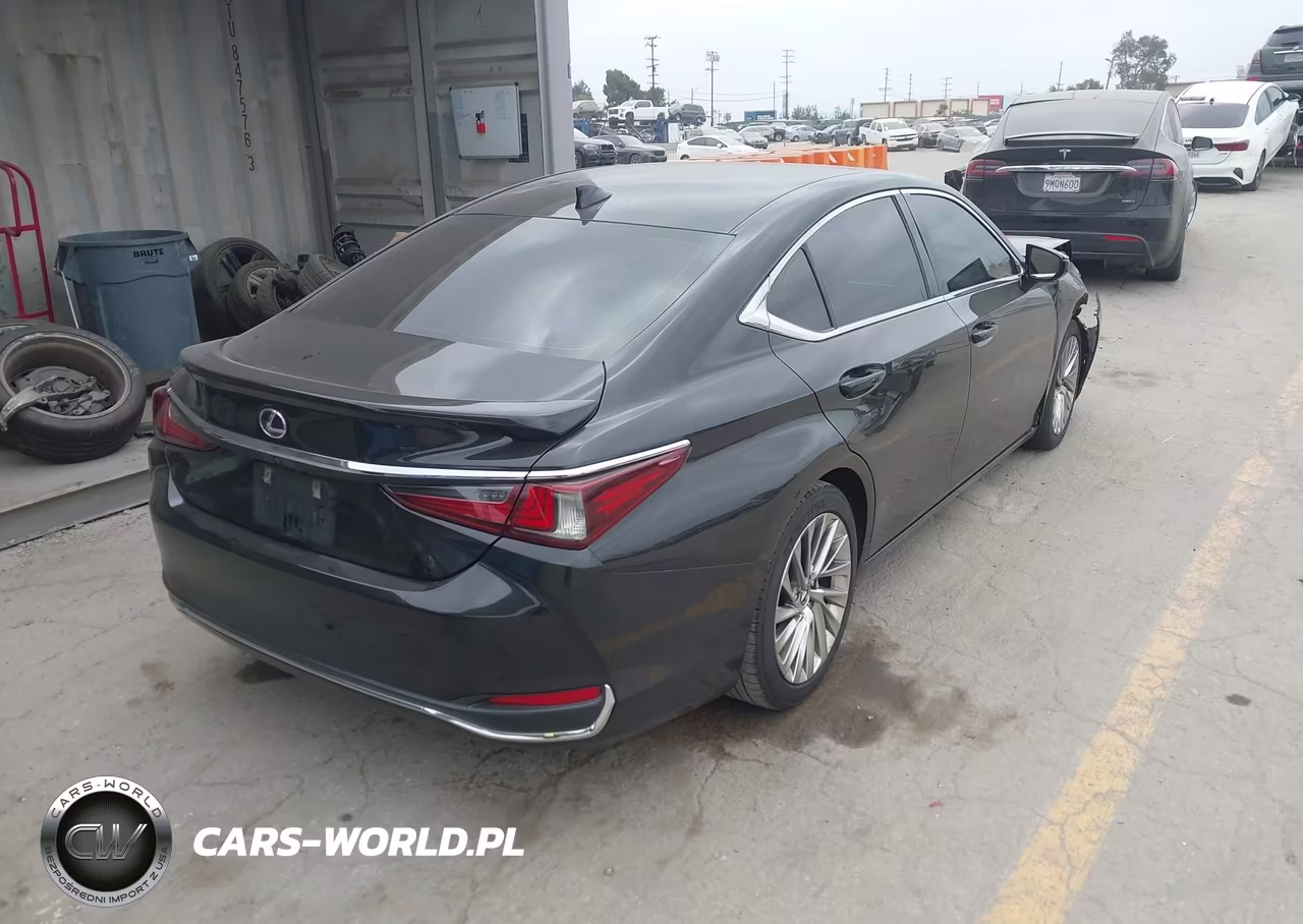 2019 Lexus Es 300H Luxury VIN:58AB21B13KU002940 - 4