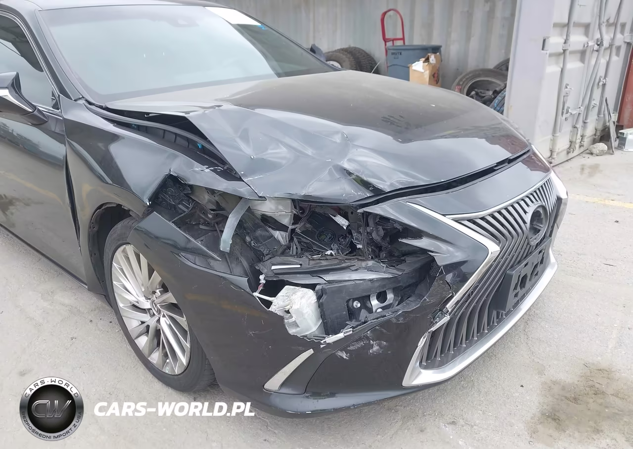 2019 Lexus Es 300H Luxury VIN:58AB21B13KU002940 - 6