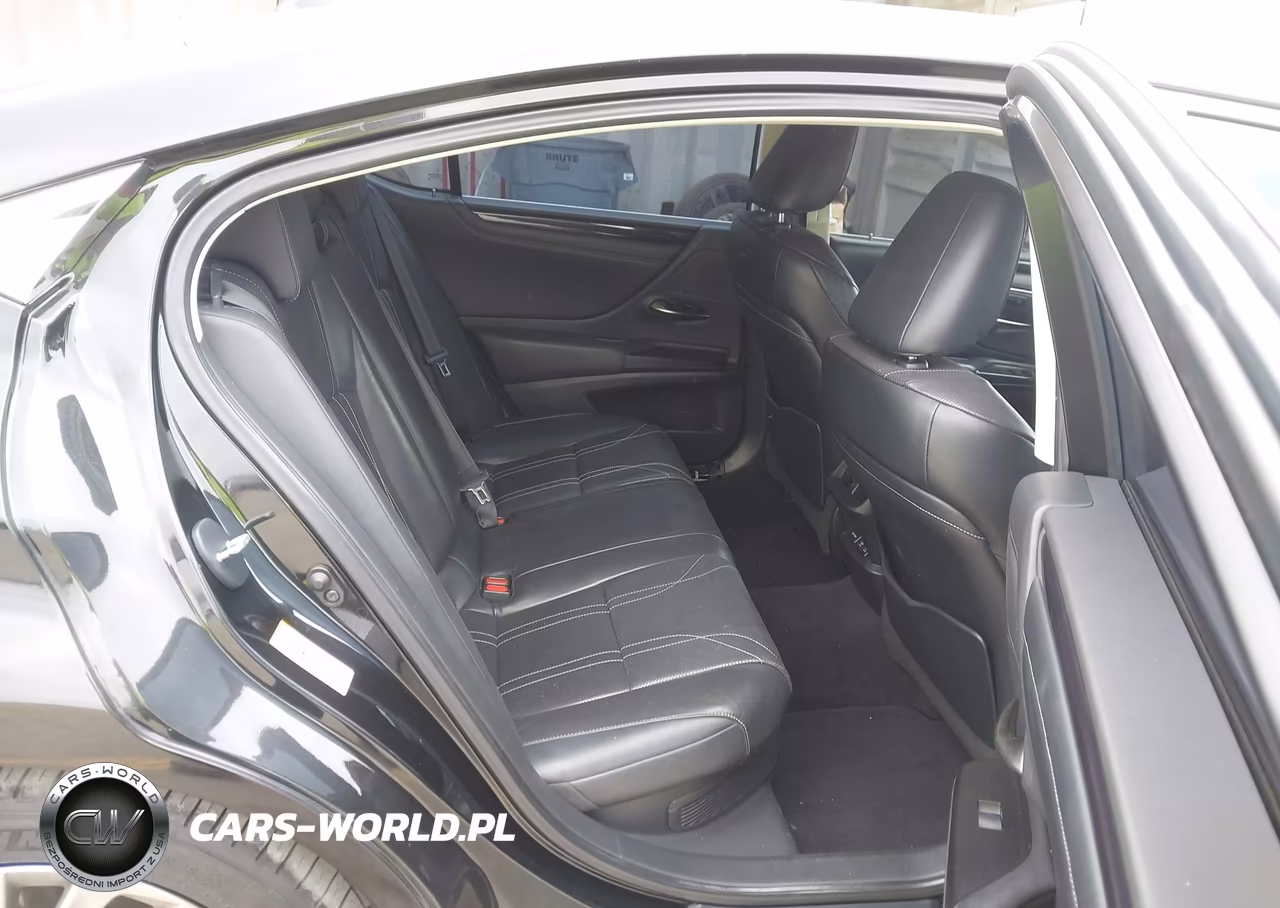 2019 Lexus Es 300H Luxury VIN:58AB21B13KU002940 - 8
