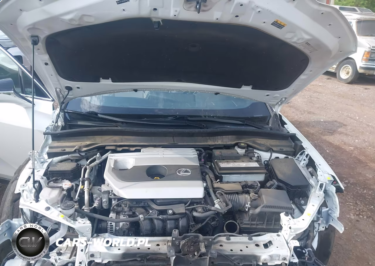 2022 Lexus Ux 200 VIN:JTHP3JBH4N2049176 - 10