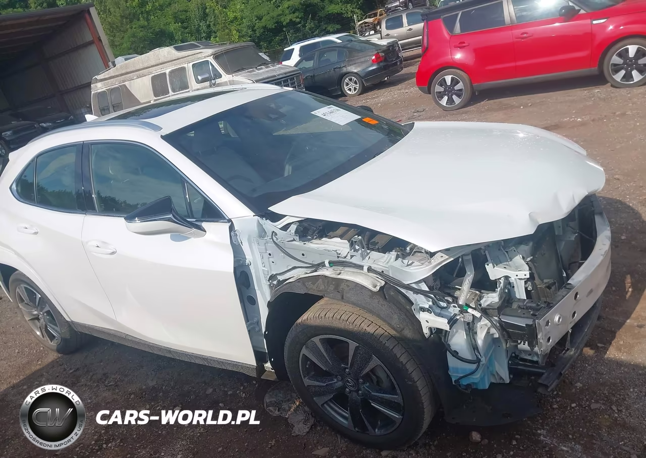 2022 Lexus Ux 200 VIN:JTHP3JBH4N2049176 - 13