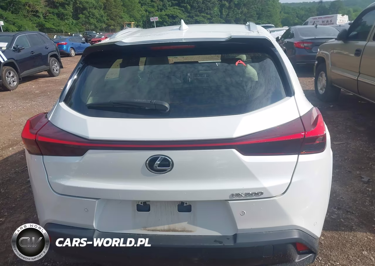 2022 Lexus Ux 200 VIN:JTHP3JBH4N2049176 - 16