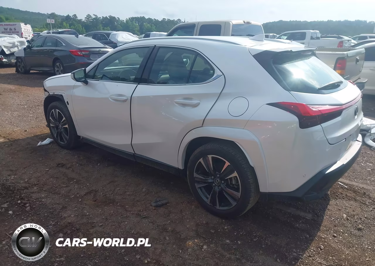 2022 Lexus Ux 200 VIN:JTHP3JBH4N2049176 - 3