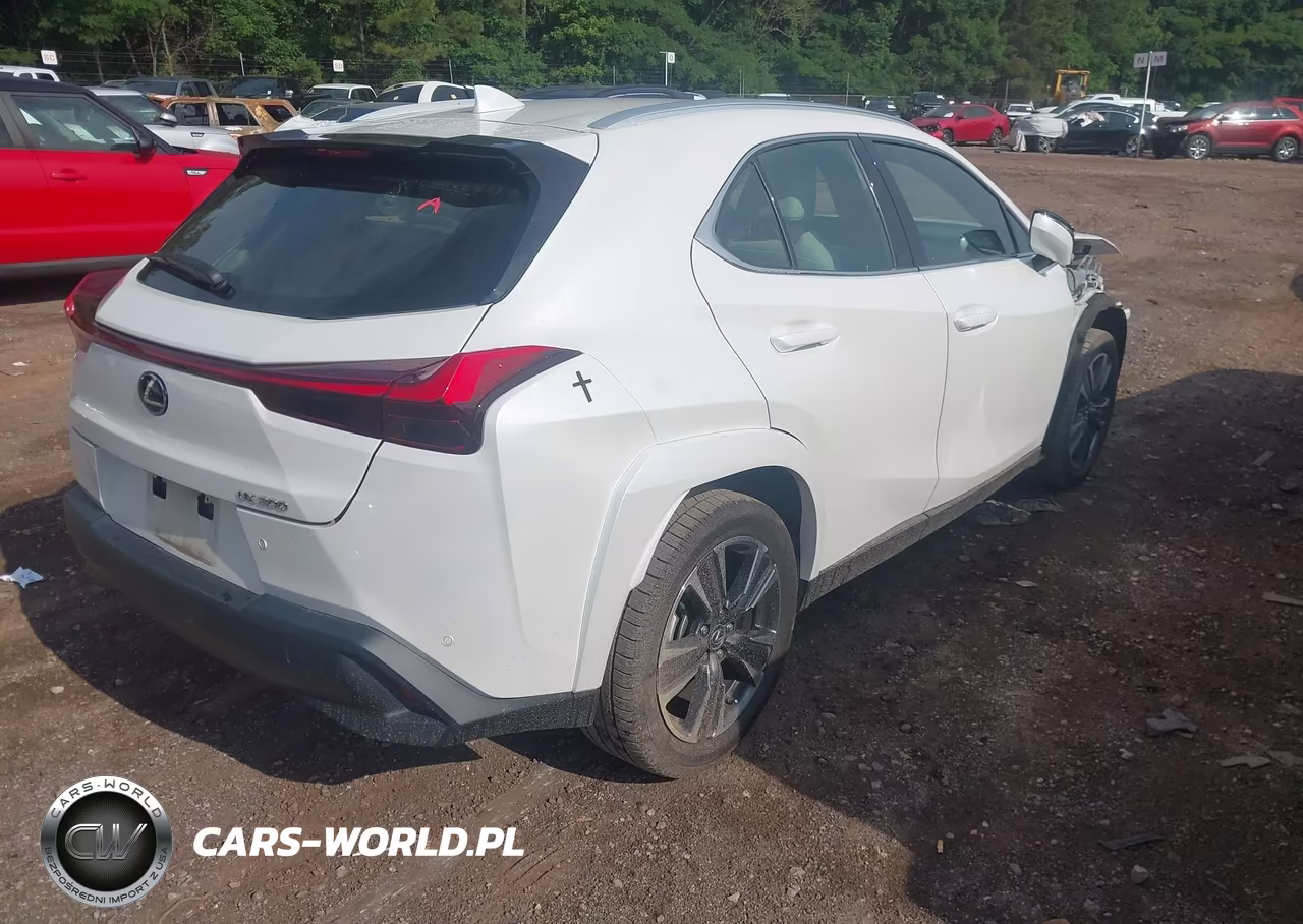 2022 Lexus Ux 200 VIN:JTHP3JBH4N2049176 - 4