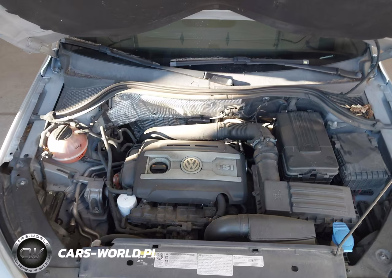 2013 Volkswagen Tiguan Se VIN:WVGAV3AX1DW573118 - 10