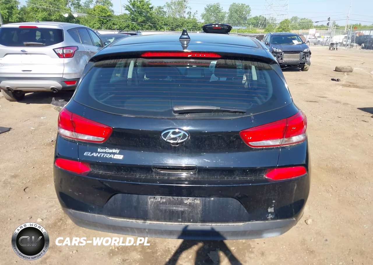 2019 Hyundai Elantra Gt VIN:KMHH35LE4KU117408 - 17