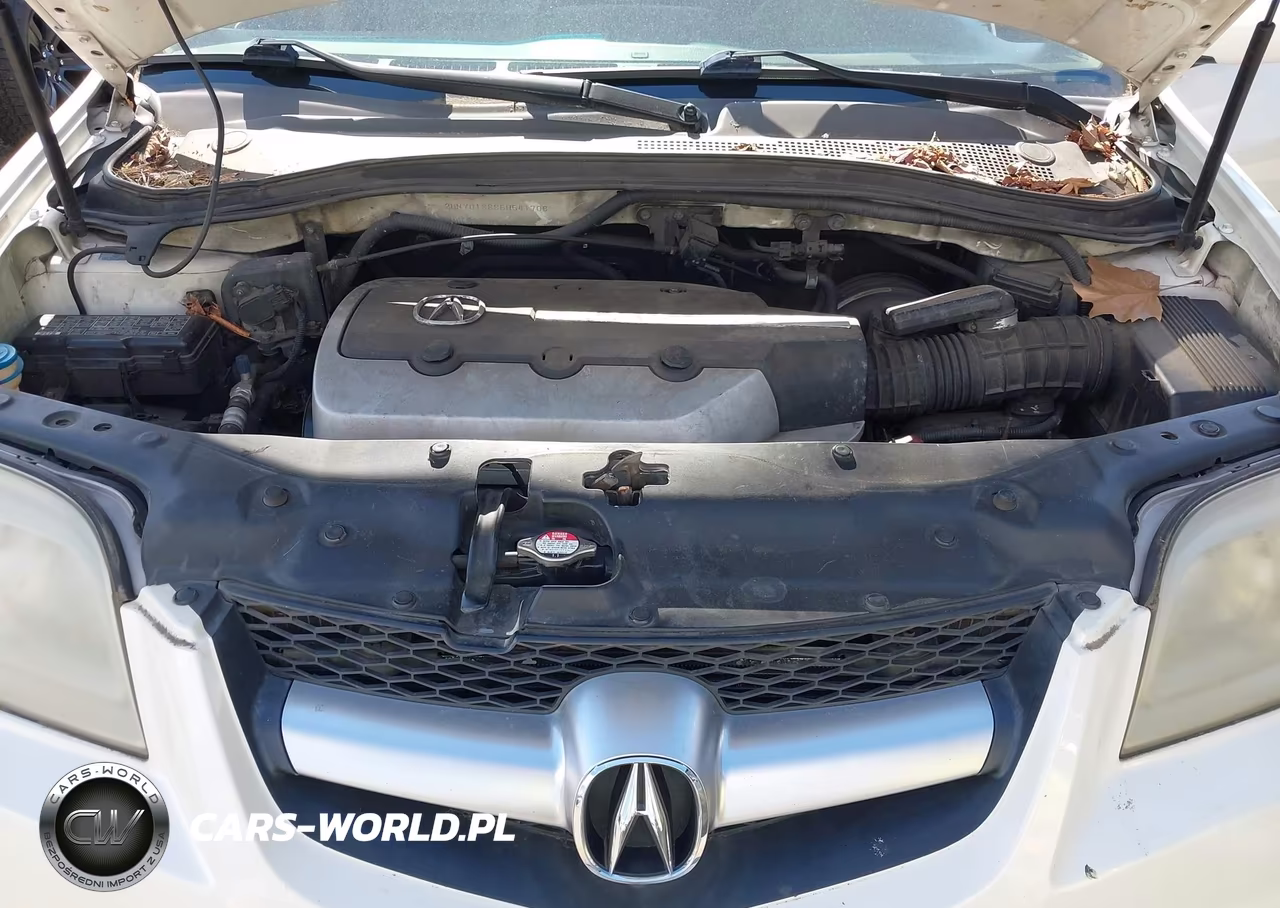 2005 Acura Mdx VIN:2HNYD18885H541706 - 10