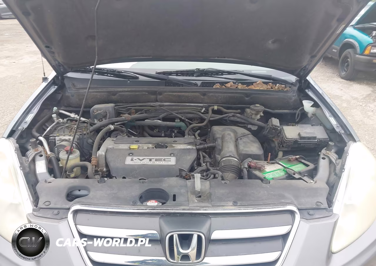 2005 Honda Cr-V Se VIN:JHLRD78985C029617 - 10