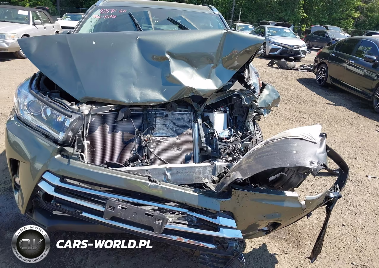 2019 Toyota Highlander Limited VIN:5TDDZRFH4KS978963 - 6