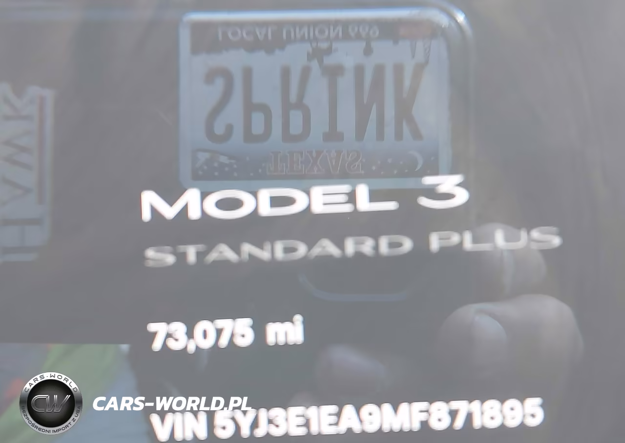 2021 Tesla Model 3 Standard Range Plus Rear-Wheel Drive VIN:5YJ3E1EA9MF871895 - 7