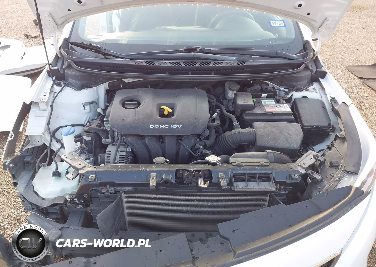 2017 Kia Forte Lx VIN:3KPFL4A78HE160277 - 10