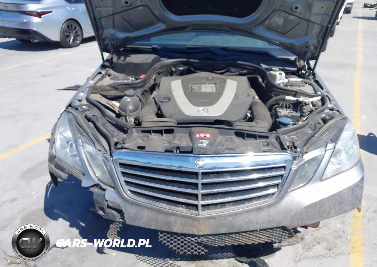 2010 Mercedes-Benz E 350 VIN:WDDHF5GB6AA250298 - 10