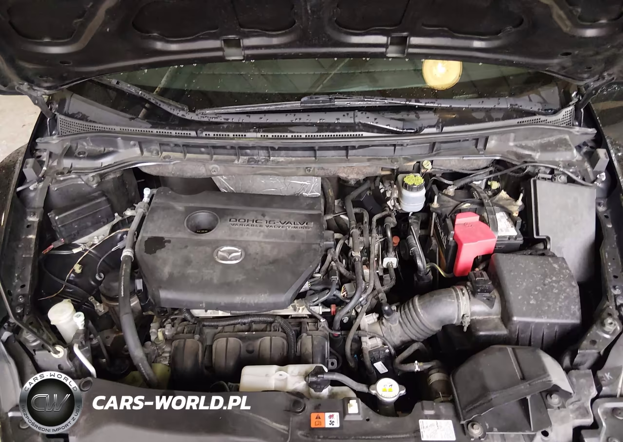 2010 Mazda Cx-7 I Sport VIN:JM3ER2W55A0316271 - 10