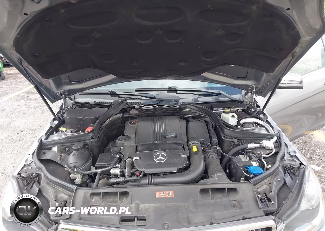 2014 Mercedes-Benz C 250 VIN:WDDGJ4HB4EG282558 - 10