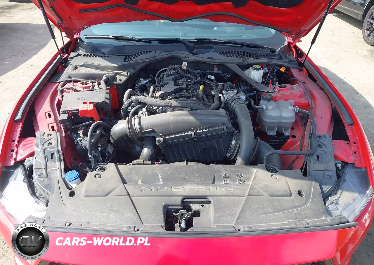 2024 Ford Mustang Ecoboost Premium VIN:1FAGP8UH1R5137432 - 10