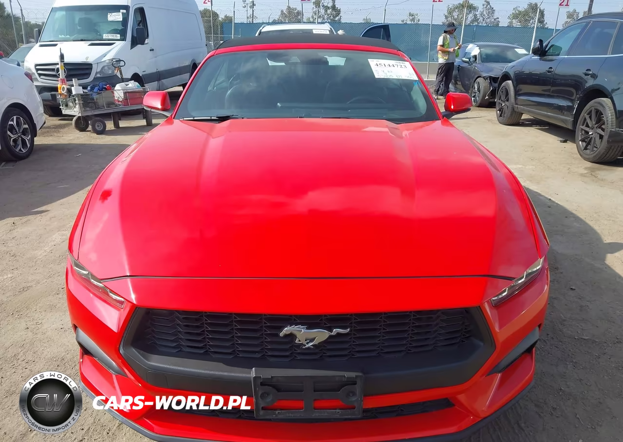 2024 Ford Mustang Ecoboost Premium VIN:1FAGP8UH1R5137432 - 12