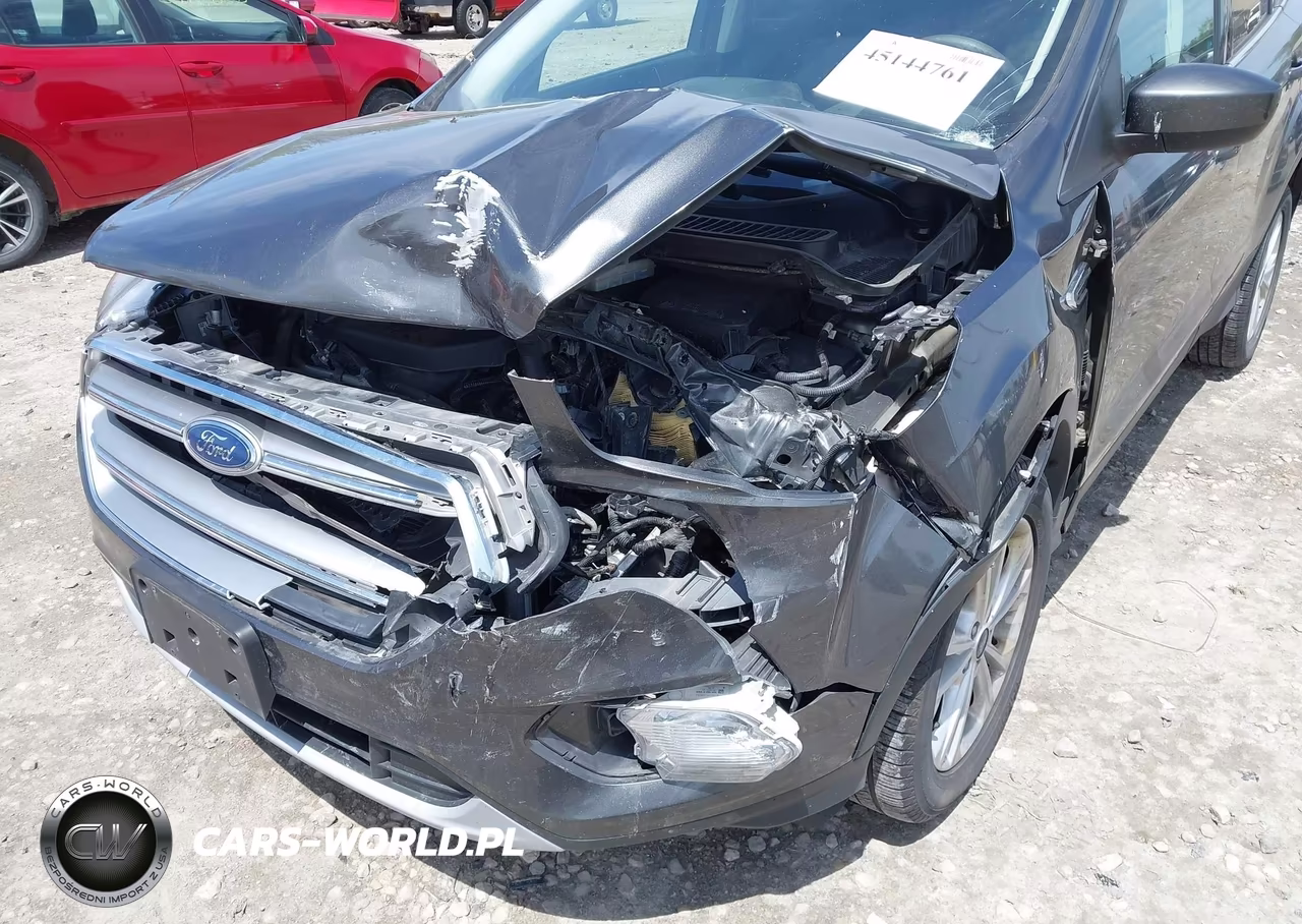 2017 Ford Escape Se VIN:1FMCU9G93HUC56661 - 18