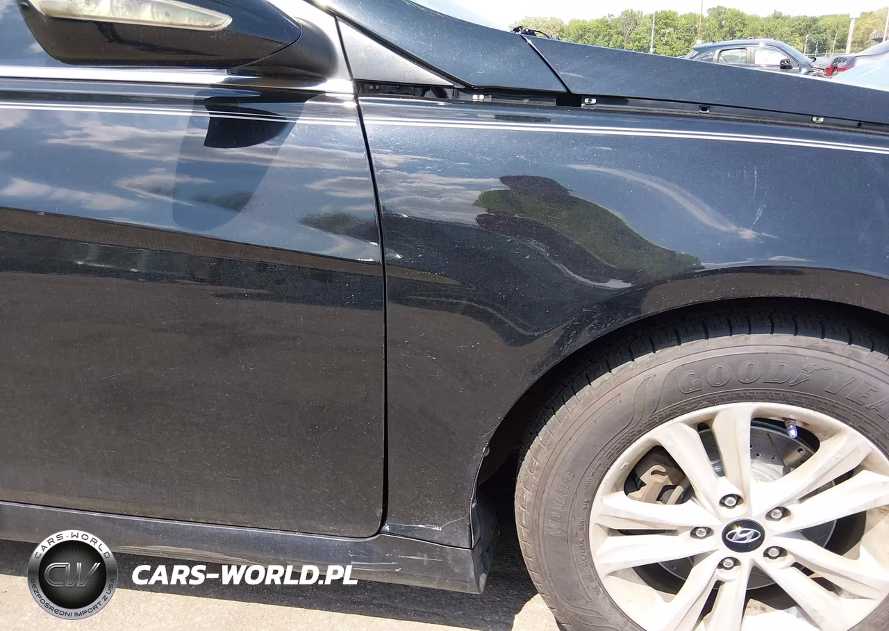 2014 Hyundai Sonata Gls VIN:5NPEB4AC8EH834267 - 14