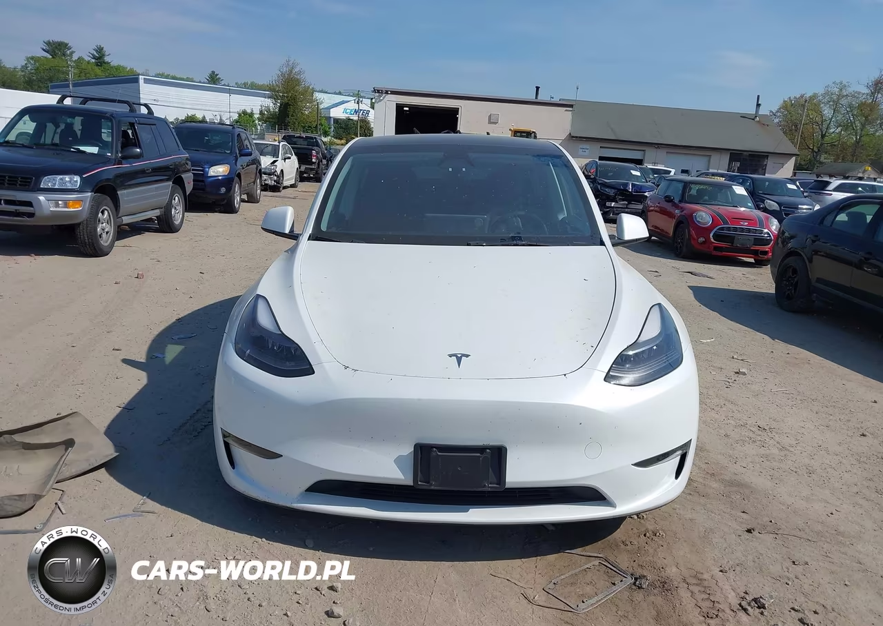2023 Tesla Model Y Awd-Long Range Dual Motor All-Wheel Drive VIN:7SAYGDEE4PF822874 - 12