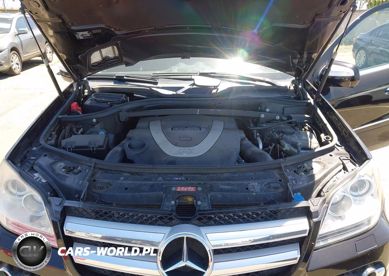 2010 Mercedes-Benz Gl 450 4Matic VIN:4JGBF7BE2AA535721 - 10
