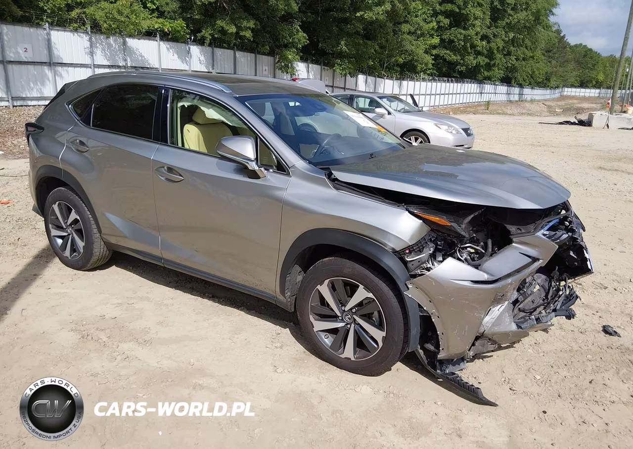 2021 Lexus Nx 300