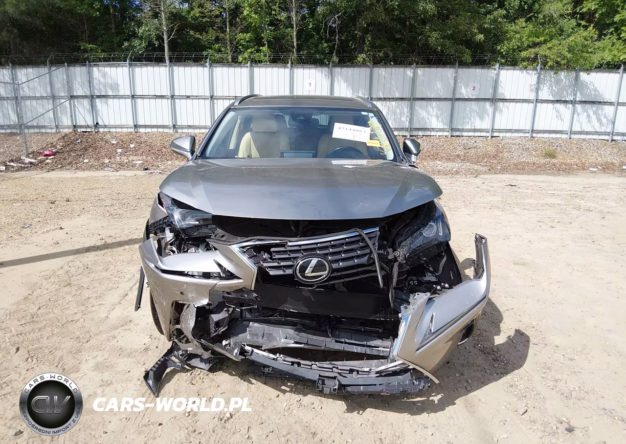 2021 Lexus Nx 300 VIN:JTJGARBZ1M2182116 - 12