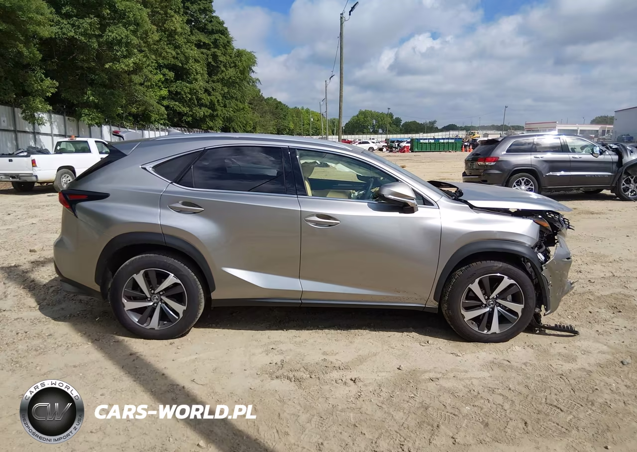 2021 Lexus Nx 300 VIN:JTJGARBZ1M2182116 - 13