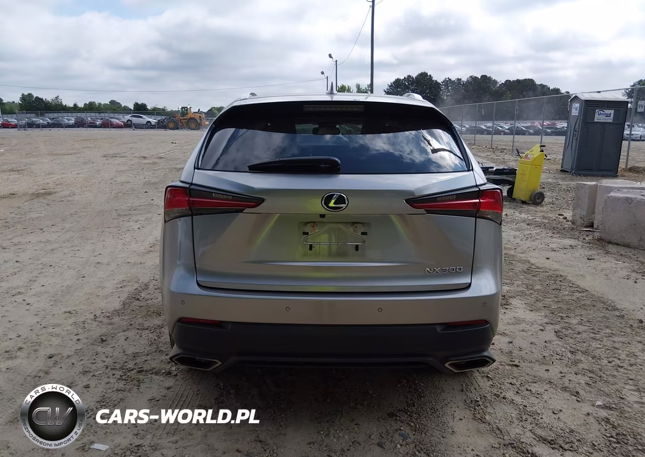 2021 Lexus Nx 300 VIN:JTJGARBZ1M2182116 - 16