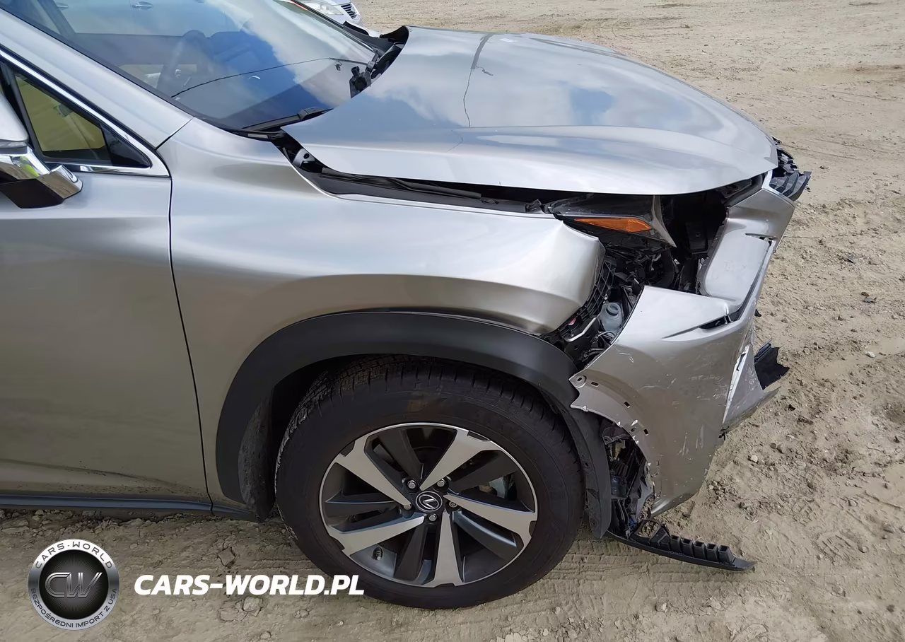 2021 Lexus Nx 300 VIN:JTJGARBZ1M2182116 - 19