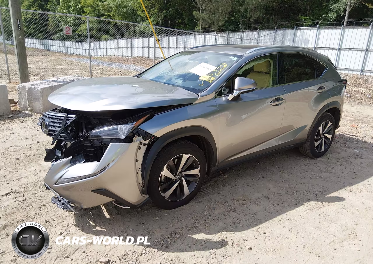 2021 Lexus Nx 300 VIN:JTJGARBZ1M2182116 - 2
